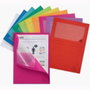 Exacompta Subcarpetas Forever con Ventana A4 Colores Surtidos
