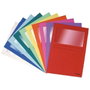 Exacompta Subcarpetas Forever con Ventana A4 Colores Surtidos
