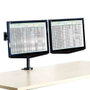 Fellowes Soporte para Monitor de Doble Brazo Vista 8041701 Negro