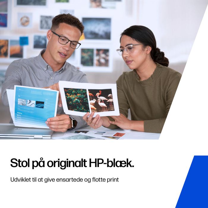 HP Cartucho de Tinta Original Negro, 825 páginas, 21.7 ml, EN/DE/FR/IT/NL/RU