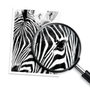 HP Cartucho de tinta 72 Negro fotográfico 130 ml C9370A