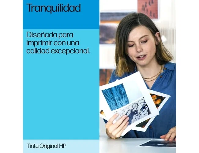 HP Cabezal de Impresión 72 Gris y Negro Fotográfico C9380A