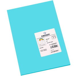 Guarro Cartulina Azul Turquesa 185 g Formato A3 50 Unidades