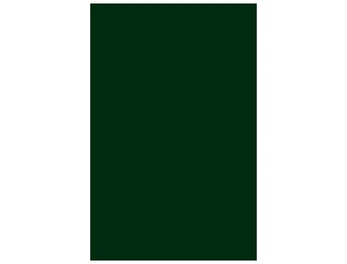 Iris Cartulina 297x420 mm 185 gr Verde Abeto -50U-