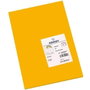 Guarro Cartulina Color Cuero 185g Din A3