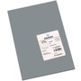 Guarro Cartulina Gris Plomo 185g Din A3