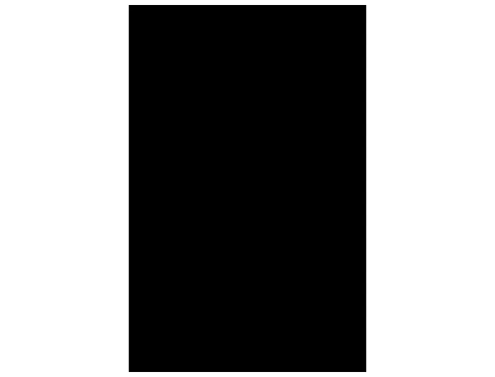 Guarro Cartulina Negro DIN A3 185 g, Paquete de 50 Hojas para Dibujo y Manualidades, Satinada, Certificado FSC