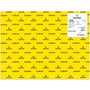 Iris Cartulina Amarillo Canario 50x65 cm 185g - 25 Unidades