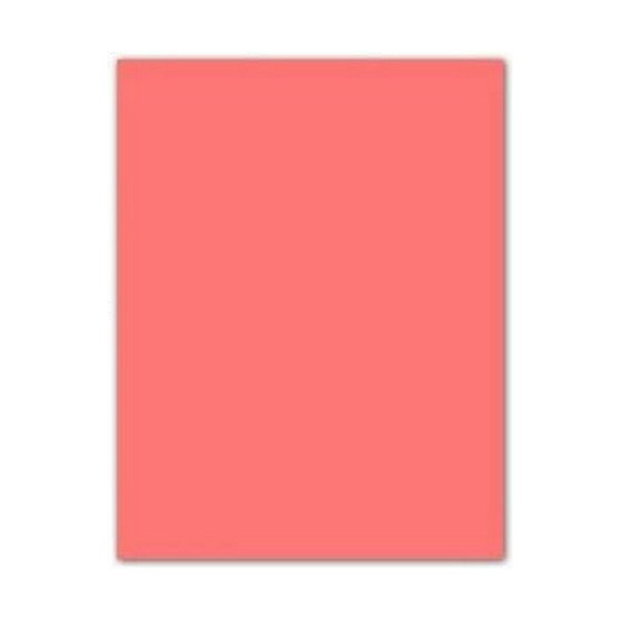 Guarro Cartulina Rosa 50x65cm 185g Guarro Cartulina Rosa 50x65cm 185g