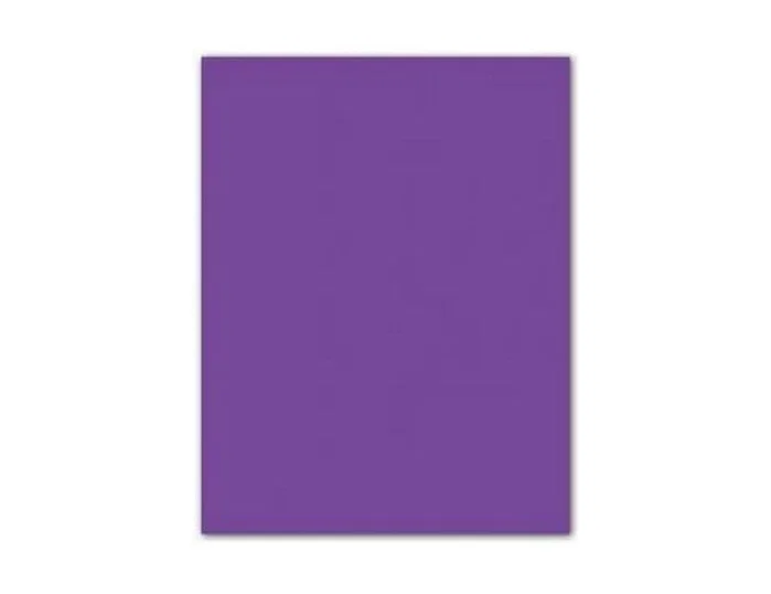Guarro Cartulina Violeta 50x65 cm 185 g - 25 Unidades