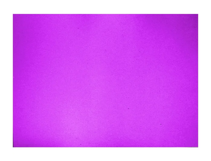 Guarro Cartulina Violeta 50x65 cm 185 g Guarro Cartulina Violeta 50x65 cm 185 g