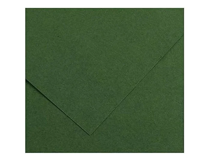 Guarro Cartulina Verde Amazonas 185 g 50x65 cm (25 unidades)