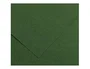 Guarro Cartulina Verde Amazonas 185 g 50x65 cm (25 unidades)