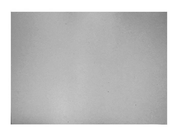 Guarro Cartulina Gris Perla 50x65 cm 185 g