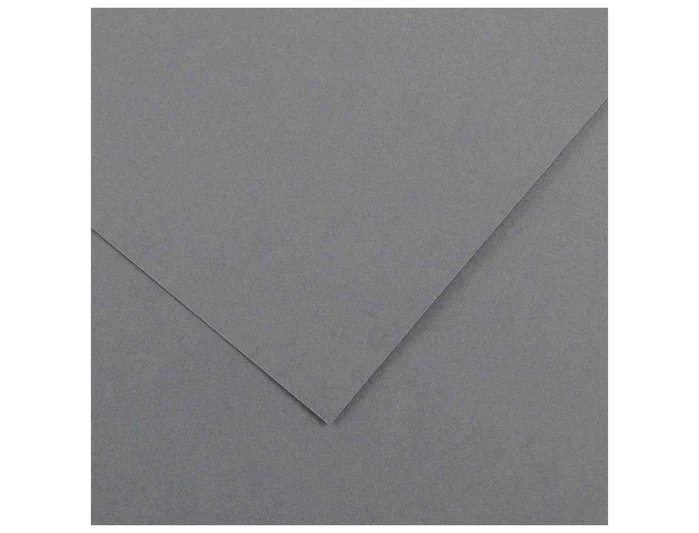 Guarro Cartulina Gris Plomo 50x65cm 185g - 25 Unidades Guarro Cartulina Gris Plomo 50x65cm 185g - 25 Unidades