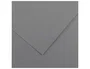 Guarro Cartulina Gris Plomo 50x65cm 185g - 25 Unidades