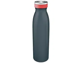 LEITZ Botella Isotérmica Cosy 500ml Gris