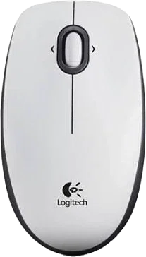 Logitech B100 Ratón Óptico USB Blanco Logitech B100 Ratón Óptico USB Blanco