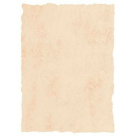 Michel Pergamino Troquelado Beige A4 200gr Pack de 25
