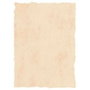 Michel Pergamino Troquelado Beige A4 200gr Pack de 25