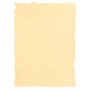 Michel Papel Pergamino Troquelado Crema A4 160g Pack 25u