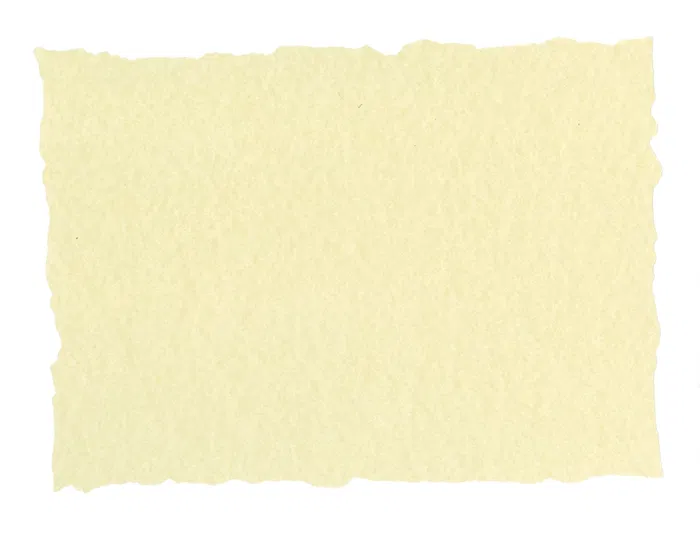 Michel Papel Pergamino DIN A4 Troquelado Piel Elefante Color Hueso 125 gr 25 Hojas