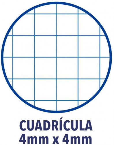 Oxford Cuaderno Espiral Write&Erase Folio 80 Hojas 4x4mm Pack 4+1 Colores Tendencia Oxford Cuaderno Espiral Write&Erase Folio 80 Hojas 4x4mm Pack 4+1 Colores Tendencia