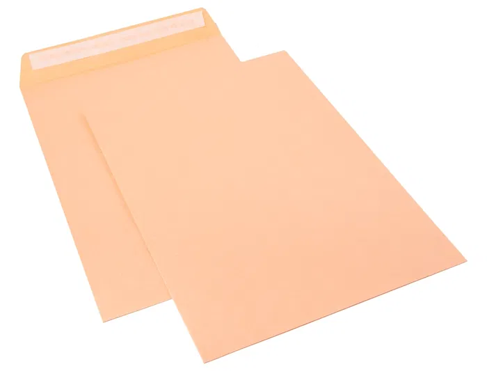 Sam Sobre Bolsa Celulosa 229x324 mm Tira Silicona 90 gr Caja 250 Unidades