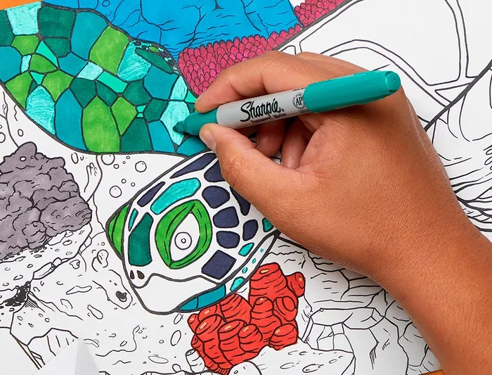 Sharpie Rotulador Permanente Fino Blister 12 Unidades Colores Surtidos