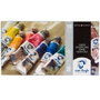 Talens Van Gogh Estuche Básico de Pinturas al Óleo con 10 Tubos de 20ml Colores Surtidos