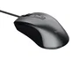 Trust Carve Ratón Óptico con Cable USB, 1200 DPI, Negro