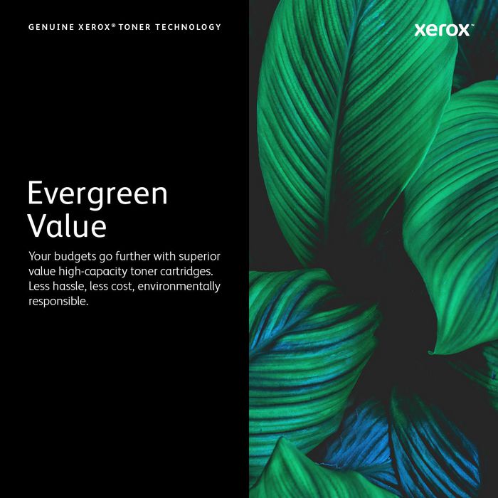 Xerox Cartucho de Tóner Magenta 006R01459 Standard