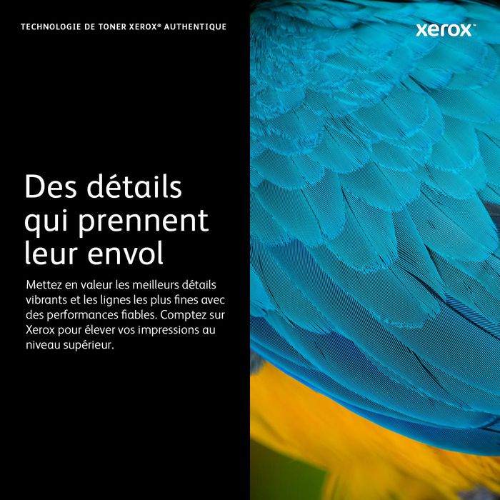 Xerox Cartucho de Tóner Magenta 006R01459 Standard