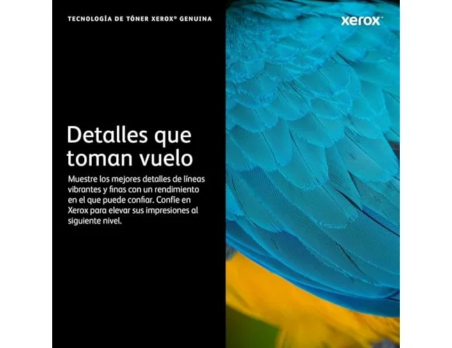 Xerox 006R04391 Negro de Alta Capacidad (XL) Xerox 006R04391 Negro de Alta Capacidad (XL)