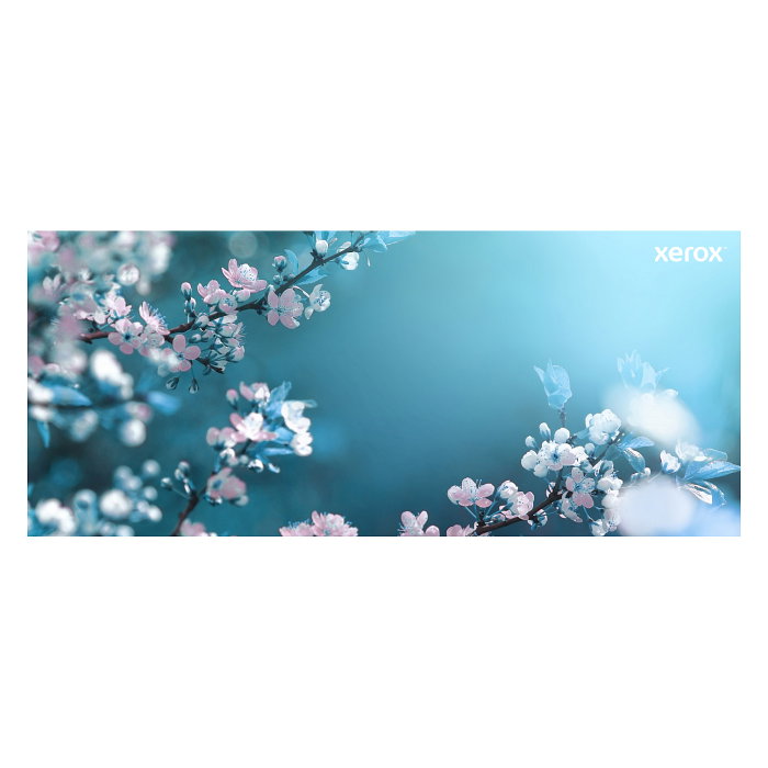 Xerox Cartucho de tóner 106R03503 Magenta