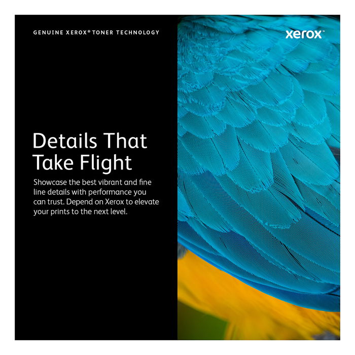 Xerox 106R03531 Módulo de Tóner Magenta VersaLink C400 / C405 - 8000 Páginas - 1 Unidad