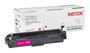 Xerox Everyday Toner Magenta para Brother TN241M