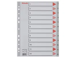 Esselte Separador Numerico 1-12 Cartulina Folio Juego de 12 Separadores Multitaladro