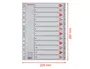 Esselte Separador Numerico 1-12 Cartulina Folio Juego de 12 Separadores Multitaladro