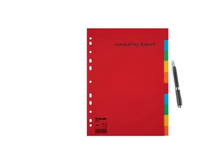 Separadores Esselte Multicolor Cartón (10 Unidades) Separadores Esselte Multicolor Cartón (10 Unidades)