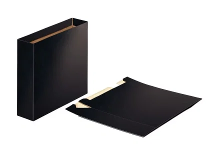 Esselte Cajetín para Archivadores Folio Lomo Ancho Negro Brillante (Set de 20) Esselte Cajetín para Archivadores Folio Lomo Ancho Negro Brillante (Set de 20)