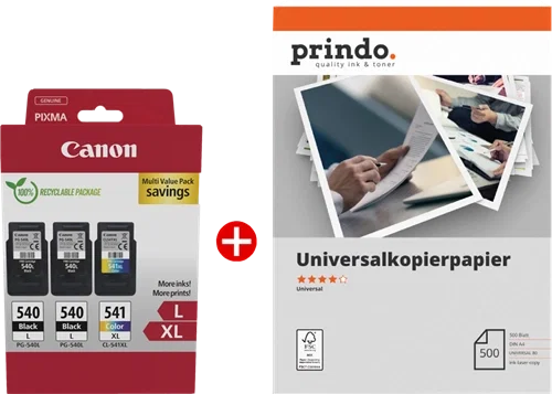 Canon Cartucho de Tinta PG-540L Negro