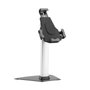 Aisens Soporte Antirobo de Sobremesa Ajustable para Tablet 8-11 Pulgadas Negro