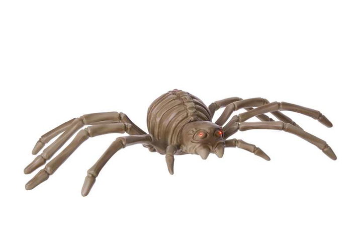 My Other Me Esqueleto Araña con Luz, Sonido y Movimiento para Niños Mayores de 3 Años