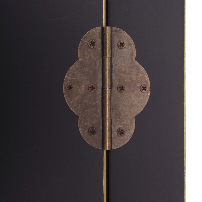 Armario 2 Puertas y 2 Cajones Negro 55 X 33 X 185 cm