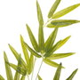Ixia Rama de Bambú Verde Artificial Decoración 40 x 30 x 157 cm