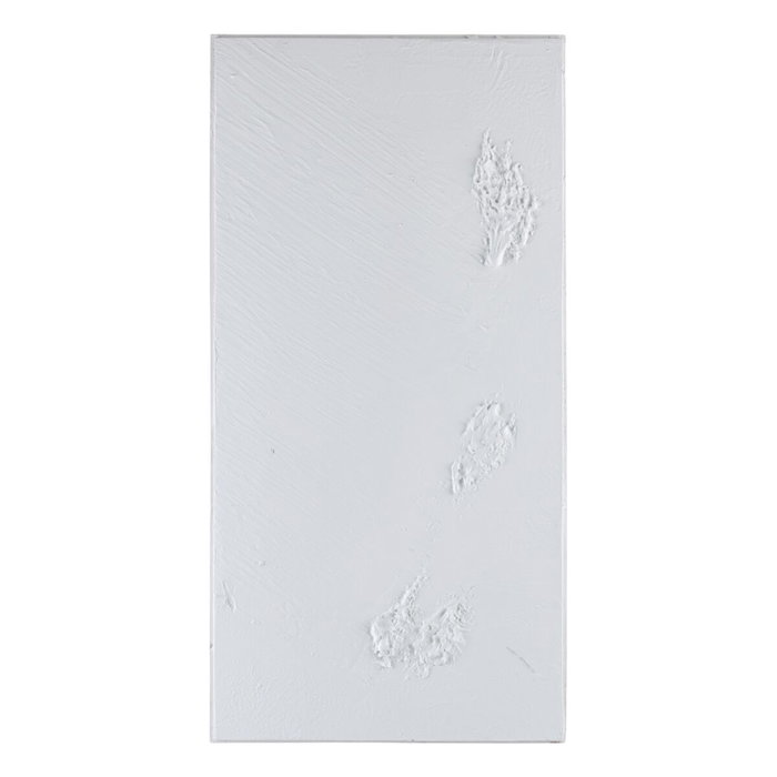 Ixia Pack de 2 Murales de Pared Abstracto Blanco Ixia Pack de 2 Murales de Pared Abstracto Blanco