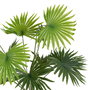 Palmera Verde "Pvc" 60 X 60 X 64 cm