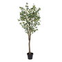 Planta Eucalipto Verde 80 X 75 X 173 cm