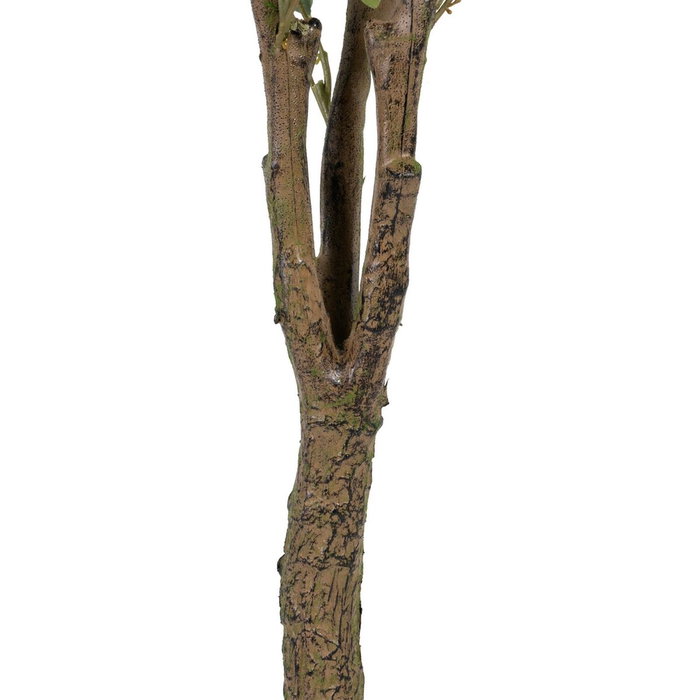 Ixia Planta Eucalipto Verde 80 x 75 x 173 cm Ixia Planta Eucalipto Verde 80 x 75 x 173 cm
